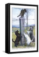 Scottish Terrier, West Highland Terrier, Skye Terrier-Louis Agassiz Fuertes-Framed Stretched Canvas