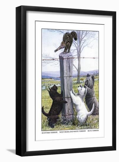 Scottish Terrier, West Highland Terrier, Skye Terrier-Louis Agassiz Fuertes-Framed Art Print