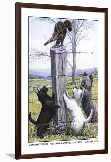 Scottish Terrier, West Highland Terrier, Skye Terrier-Louis Agassiz Fuertes-Framed Art Print