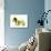 Scottish Terrier-NaxArt-Art Print displayed on a wall