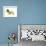 Scottish Terrier-NaxArt-Framed Art Print displayed on a wall