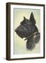 Scottish Terrier-Trolley Dodger-Framed Giclee Print