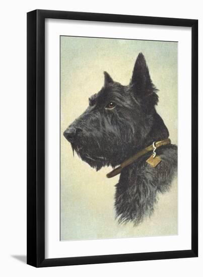 Scottish Terrier-Trolley Dodger-Framed Giclee Print