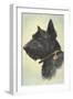 Scottish Terrier-Trolley Dodger-Framed Giclee Print