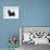 Scottish Terrier-Harro Maass-Framed Giclee Print displayed on a wall