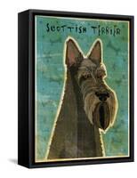 Scottish Terrier-John W Golden-Framed Stretched Canvas