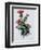 Scottish Thistle-Nell Hill-Framed Giclee Print