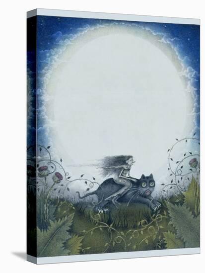 Scottish Witch on a Black Cat-Wayne Anderson-Stretched Canvas