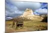 Scotts Bluff in Present Day Nebraska, Now a National Monument-Richard Wright-Mounted Photographic Print