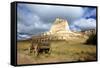 Scotts Bluff in Present Day Nebraska, Now a National Monument-Richard Wright-Framed Stretched Canvas