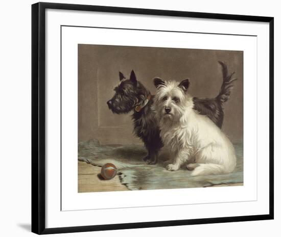 Scotty and Khaki-Margaret Collyer-Framed Premium Giclee Print