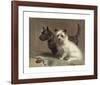 Scotty and Khaki-Margaret Collyer-Framed Premium Giclee Print