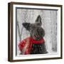 Scotty Dog Red Scarf-Clare Davis London-Framed Giclee Print