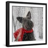 Scotty Dog Red Scarf-Clare Davis London-Framed Giclee Print