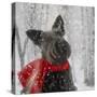 Scotty Dog Red Scarf-Clare Davis London-Stretched Canvas