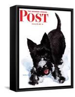 "Scotty in Snow," Saturday Evening Post Cover, January 30, 1943-W.W. Calvert-Framed Stretched Canvas