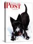 "Scotty in Snow," Saturday Evening Post Cover, January 30, 1943-W.W. Calvert-Stretched Canvas