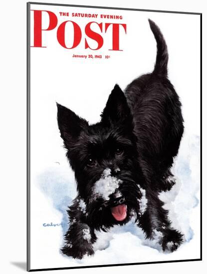 "Scotty in Snow," Saturday Evening Post Cover, January 30, 1943-W.W. Calvert-Mounted Giclee Print