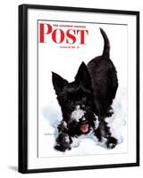 "Scotty in Snow," Saturday Evening Post Cover, January 30, 1943-W.W. Calvert-Framed Giclee Print