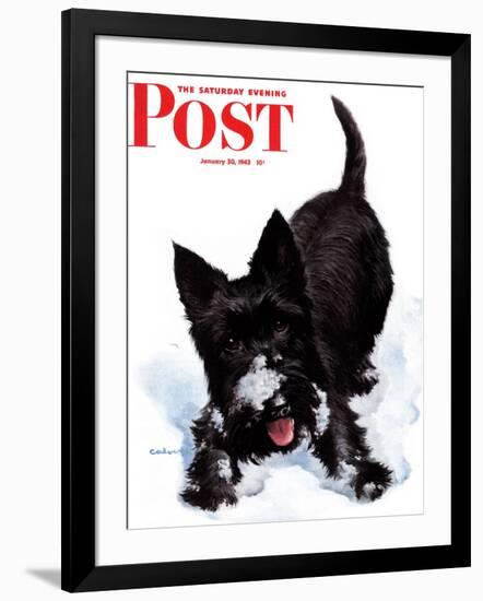 "Scotty in Snow," Saturday Evening Post Cover, January 30, 1943-W.W. Calvert-Framed Giclee Print