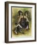 Scoundrel-Barbara Keith-Framed Giclee Print