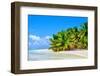 Scout Park Beach, Cocos (Keeling) Islands, Indian Ocean, Asia-Lynn Gail-Framed Photographic Print