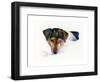 Scout Portrait, 2015-John Keeling-Framed Giclee Print