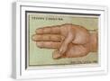 White Frame