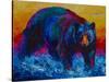 Scouting Fish Black Bear-Marion Rose-Stretched Canvas