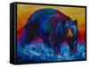 Scouting Fish Black Bear-Marion Rose-Framed Stretched Canvas