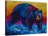 Scouting Fish Black Bear-Marion Rose-Stretched Canvas