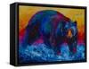 Scouting Fish Black Bear-Marion Rose-Framed Stretched Canvas