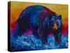 Scouting Fish Black Bear-Marion Rose-Stretched Canvas