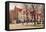 Scoville Block, Oak Park, Illinois-null-Framed Stretched Canvas