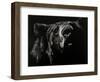 Scratchboard Critic-Julie Chapman-Framed Art Print