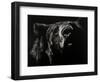 Scratchboard Critic-Julie Chapman-Framed Art Print