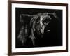 Scratchboard Critic-Julie Chapman-Framed Art Print