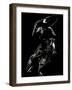 Scratchboard Rodeo VII-Julie Chapman-Framed Art Print