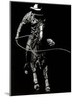 Scratchboard Rodeo VIII-Julie Chapman-Mounted Art Print