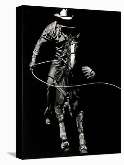 Scratchboard Rodeo VIII-Julie Chapman-Stretched Canvas