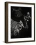 Scratchboard Skeptics-Julie Chapman-Framed Art Print