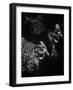 Scratchboard Skeptics-Julie Chapman-Framed Art Print