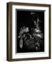 Scratchboard Tyrant-Julie Chapman-Framed Art Print