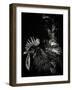 Scratchboard Tyrant-Julie Chapman-Framed Art Print