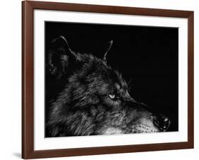 Scratchboard Wolf I-Julie Chapman-Framed Art Print