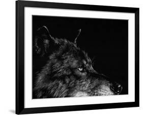 Scratchboard Wolf I-Julie Chapman-Framed Art Print