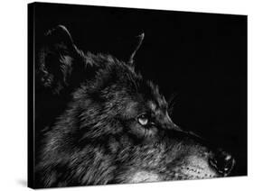 Scratchboard Wolf I-Julie Chapman-Stretched Canvas