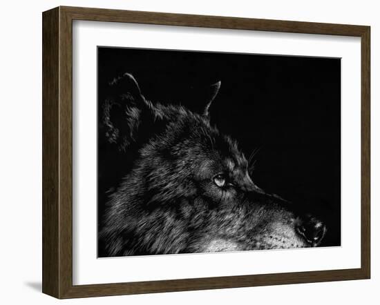 Scratchboard Wolf I-Julie Chapman-Framed Art Print