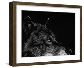 Scratchboard Wolf I-Julie Chapman-Framed Art Print