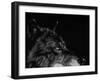 Scratchboard Wolf I-Julie Chapman-Framed Art Print